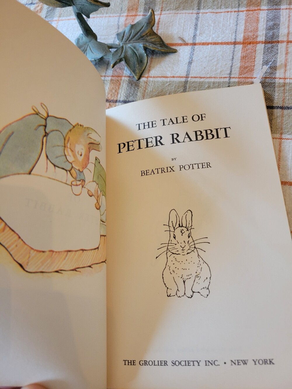 Peter Rabbit Barbie With Picture Book! - Picture 7 of 10